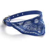 Neckerchief Collar