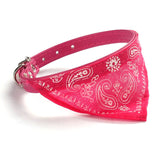 Neckerchief Collar