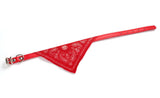 Neckerchief Collar