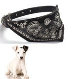 Neckerchief Collar