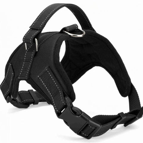 Leash Harness