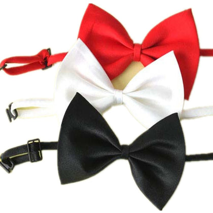 Set of 3 Adjustable Dog Bow Tie