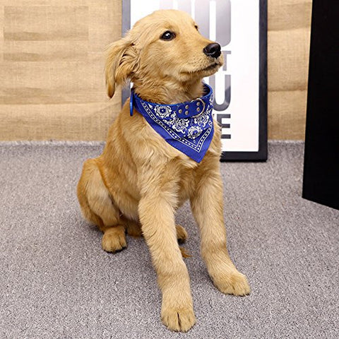 Bandana Collar