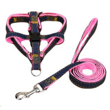 Heavy Duty Dog Harness Colar