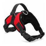 Leash Harness