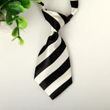 Stripe Bow Tie